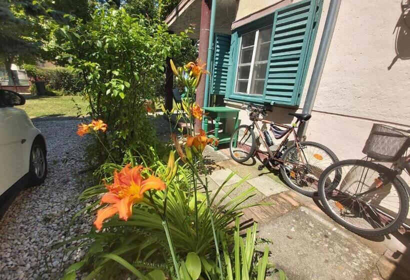 Pensionat Newmidi Studio Terrace, Wifi