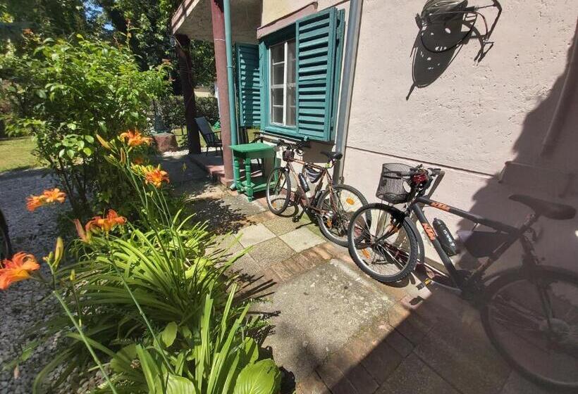 Pensionat Newmidi Studio Terrace, Wifi