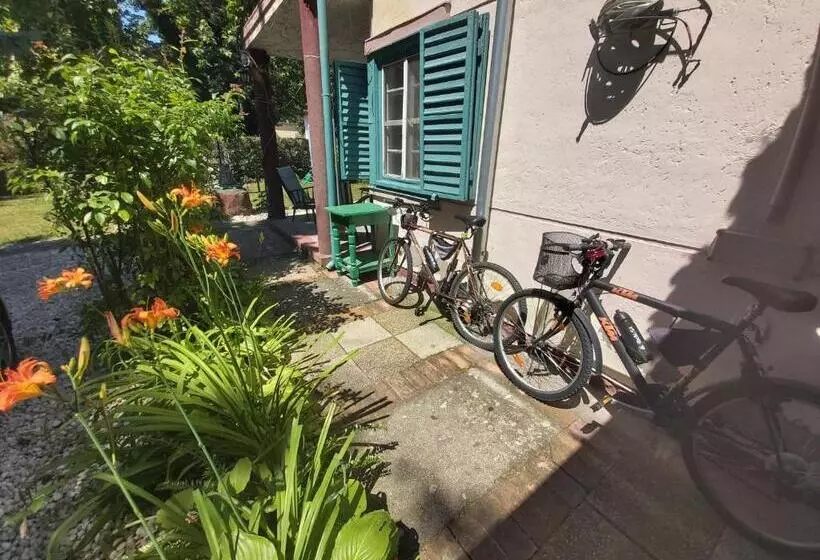 پانسیون Newmidi Studio Terrace, Wifi