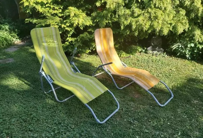 پانسیون Newmidi Studio Terrace, Wifi