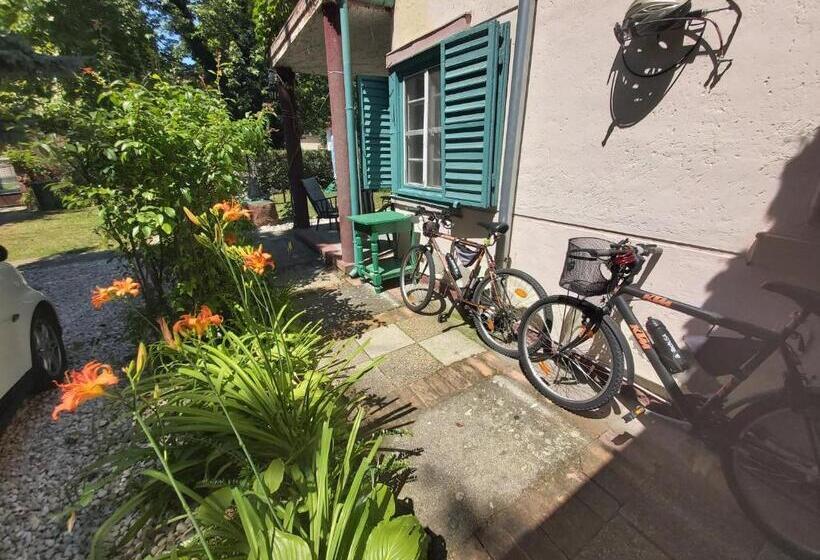 Pensionat Newmidi Studio Terrace, Wifi