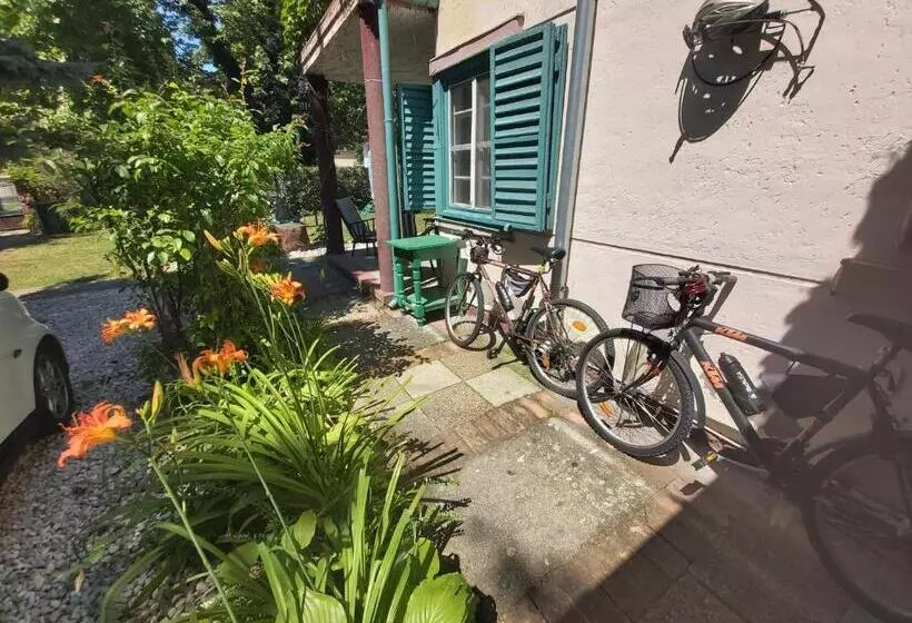 پانسیون Newmidi Studio Terrace, Wifi