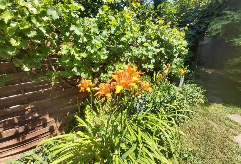 Pensionat Newmidi Studio Terrace, Wifi