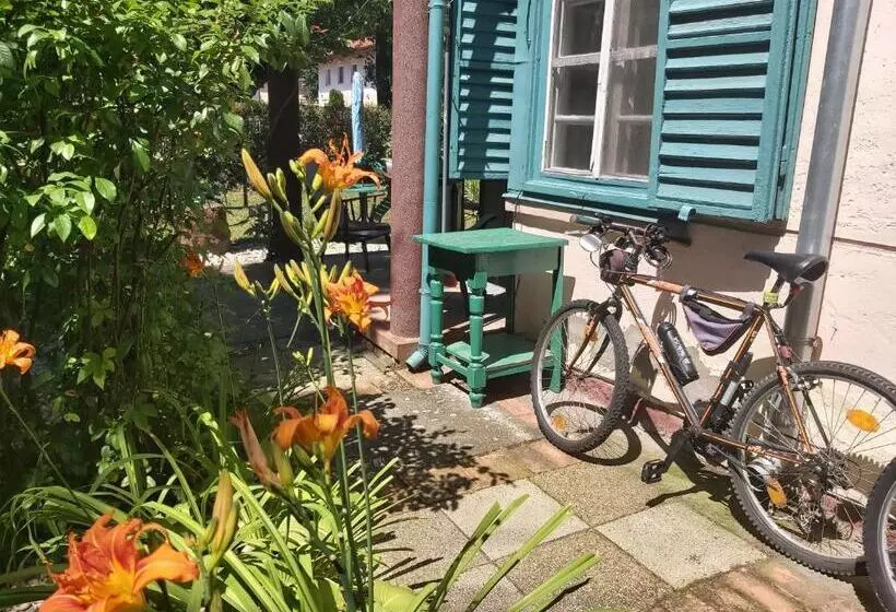 پانسیون Newmidi Studio Terrace, Wifi