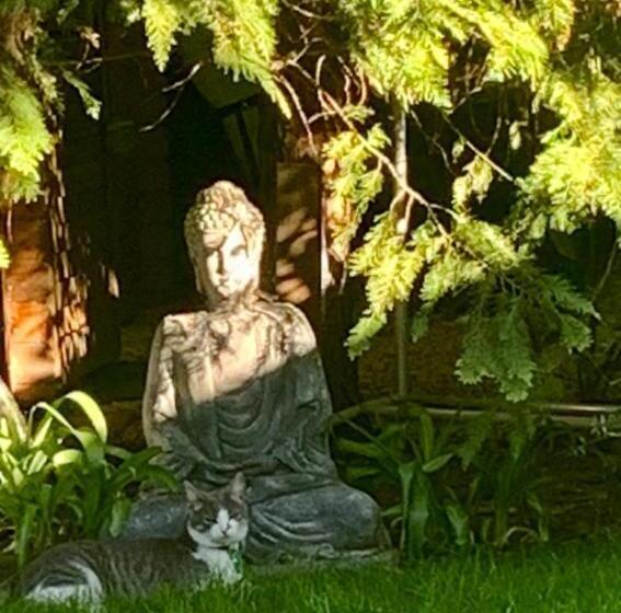 Pensionat Newmidi Studio Terrace, Wifi