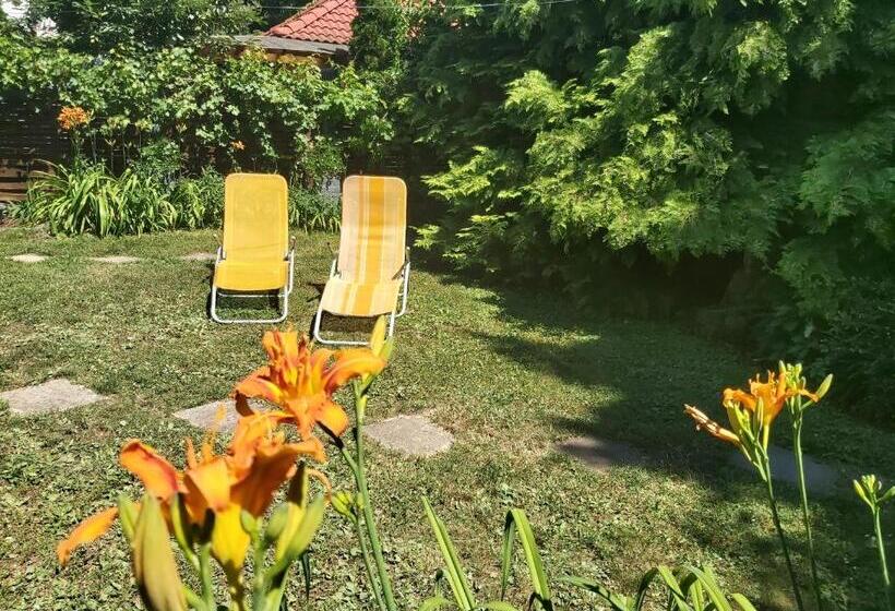 Pensionat Newmidi Studio Terrace, Wifi