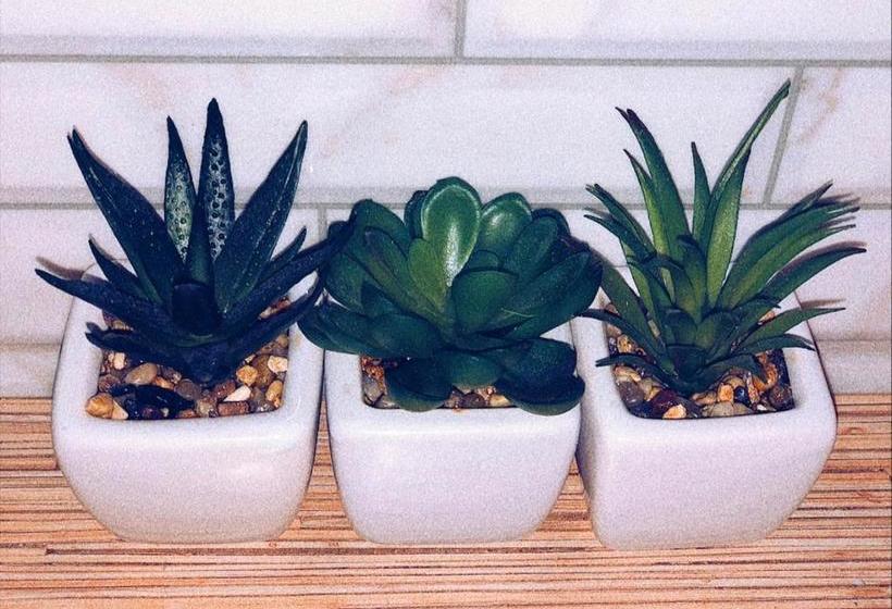 The Hostel On Gogolya