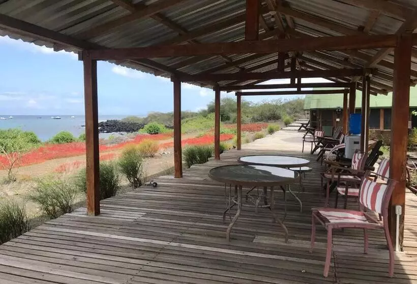 ホテル Lava Lodge
