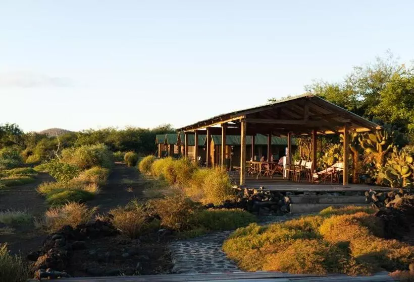ホテル Lava Lodge