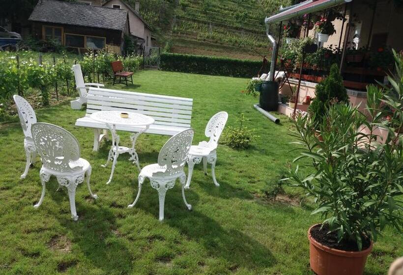 Пансион Beáta Vendégház