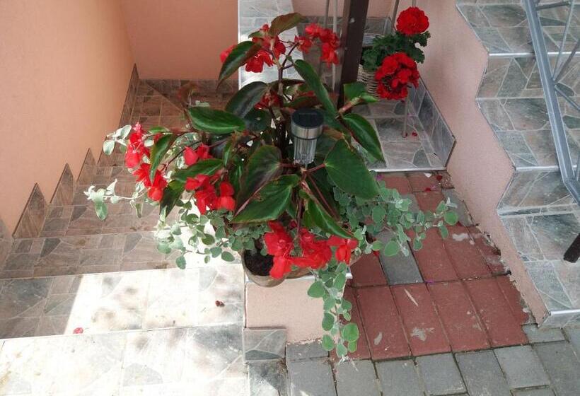 Пансион Beáta Vendégház