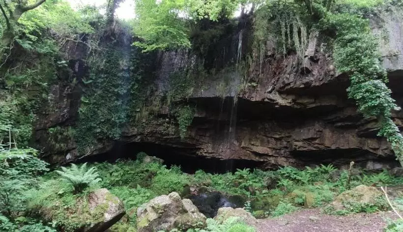 Albergue De Oneta