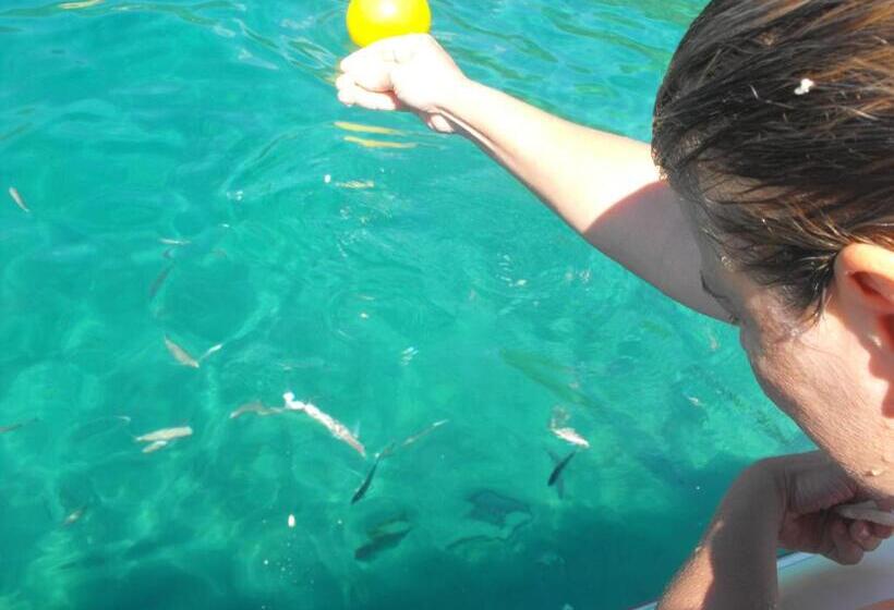 旅馆 Pousada Casa Da Praia