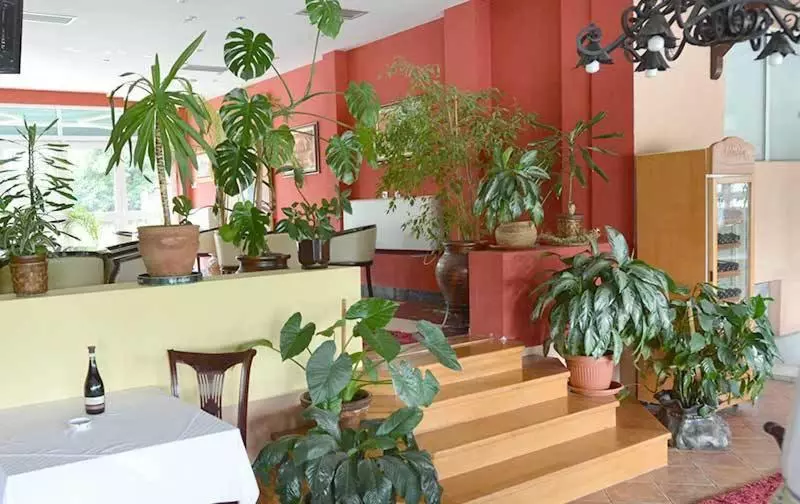 Motel Kneginja