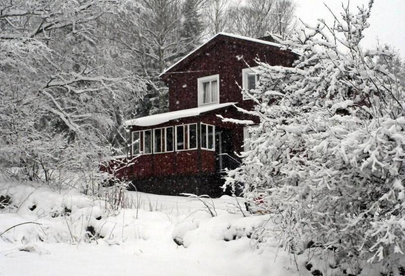 Muses Bnb Bed & Breakfast