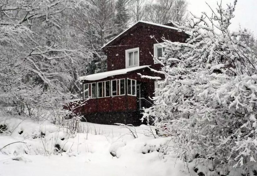 Muses Bnb Bed & Breakfast