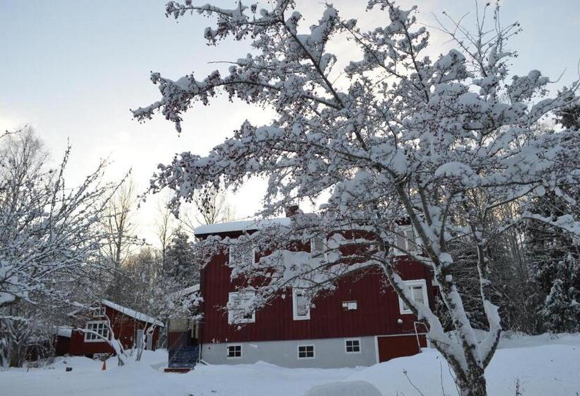 Muses Bnb Bed & Breakfast