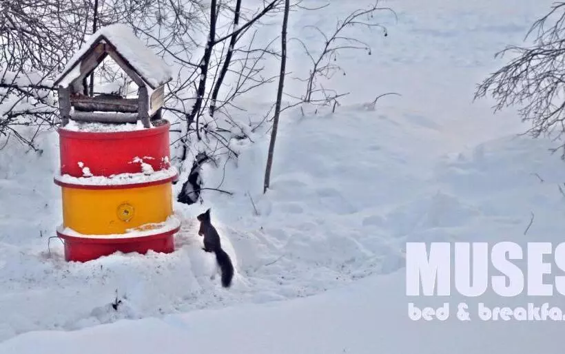 Muses Bnb Bed & Breakfast