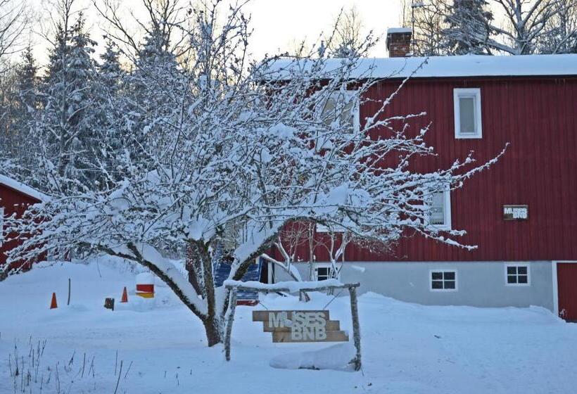 Muses Bnb Bed & Breakfast