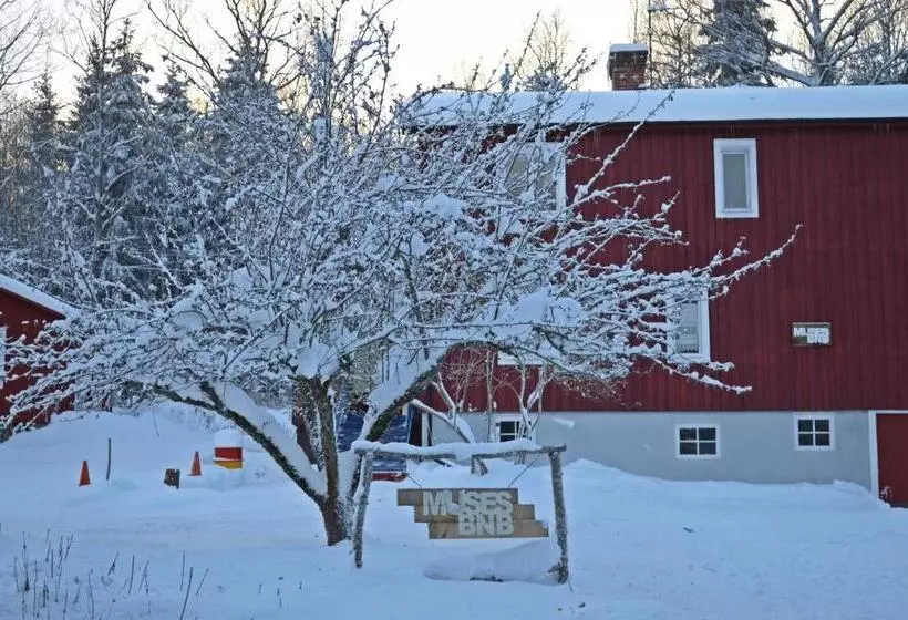 Muses Bnb Bed & Breakfast