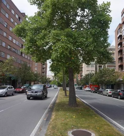 ペンション Apartamento Ermitagaña