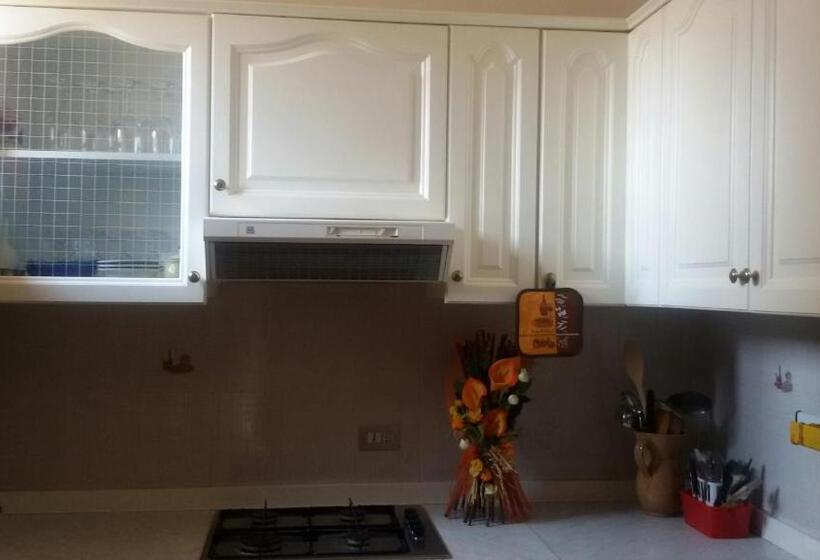 膳宿费 Big Brenta