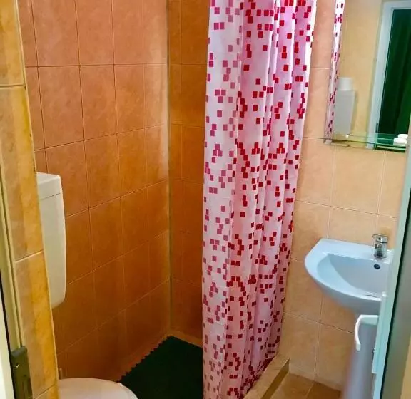 Pensió La Nelu