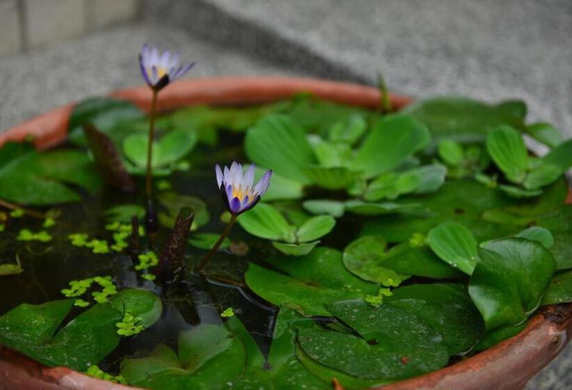 住宿加早餐  花蓮快樂腳旅宿