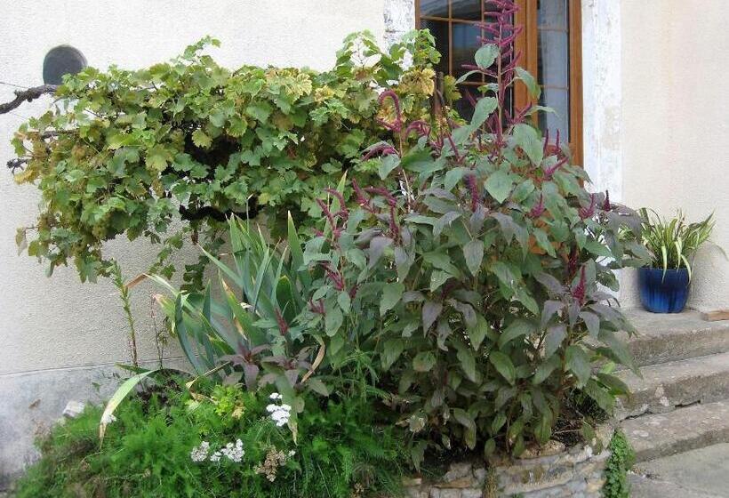 Bed and Breakfast Chambre D Hôtes Oiron, Deux Sevres   Not Near Taize, Burgundy