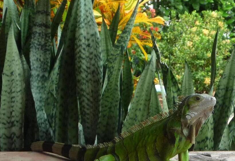 هتل Parador Del Gitano