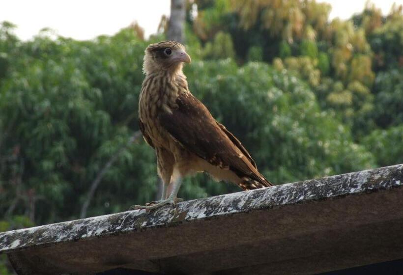 هتل Parador Del Gitano