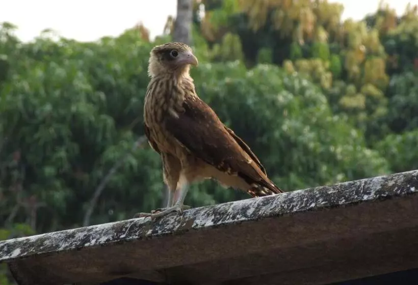ホテル Parador Del Gitano