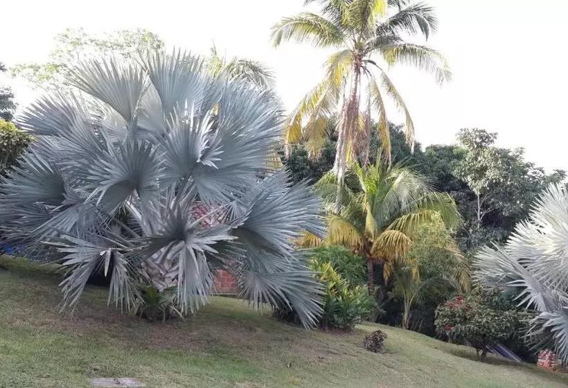 ホテル Parador Del Gitano