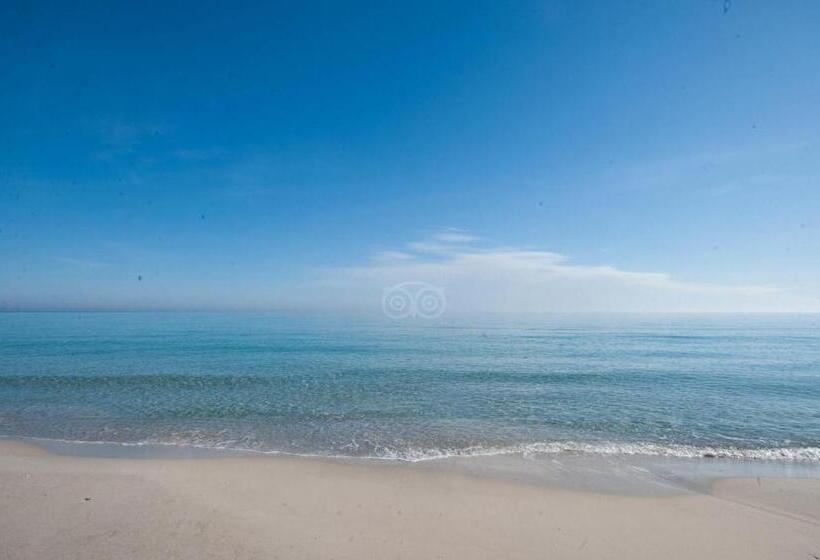 فندق Sol Palmeras Beach Family