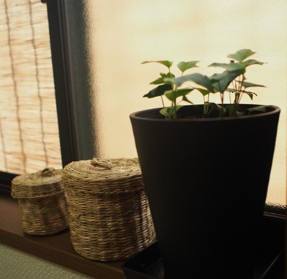 فندق صغير Guesthouse Asobigokoro Fukuokadazaifu