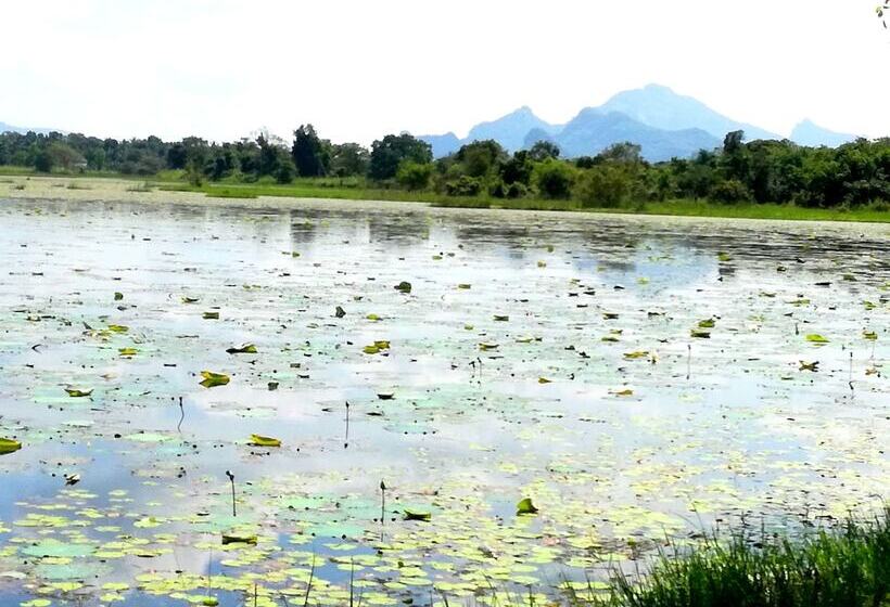 צימר Chanaka Homestay