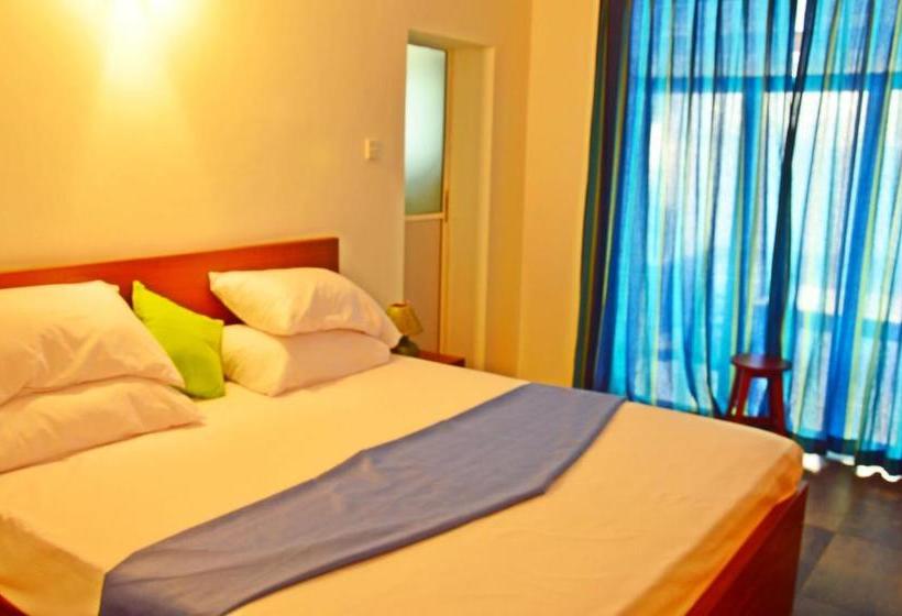 민박 Swan White Villa