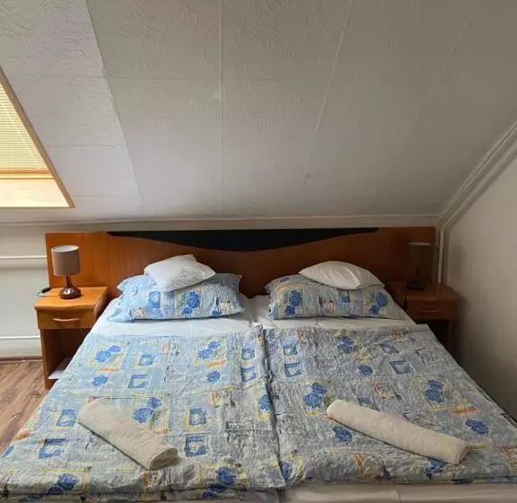 Bed and Breakfast Teke Panzió