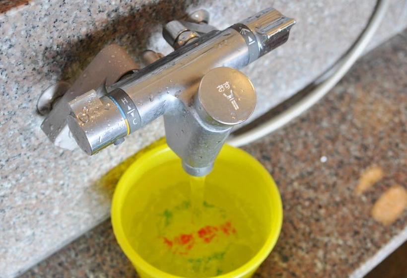 ריוקאן Kishuji Minabe