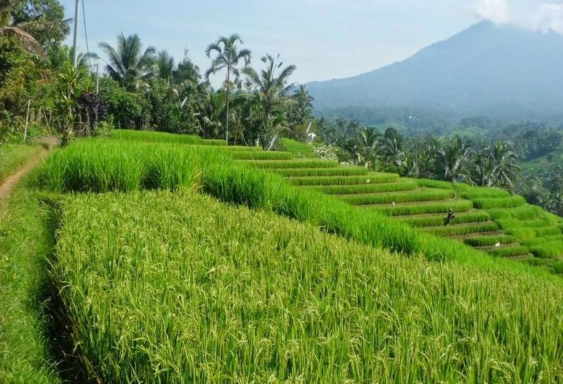 ホテル Zen Rooms Tukad Badung Renon