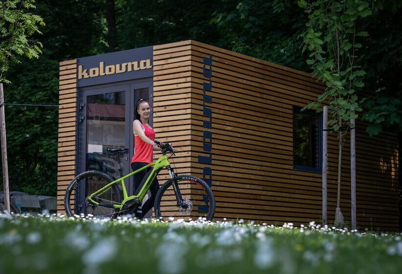 אתר נופש Wellness & Spa Hotel Villa Regenhart