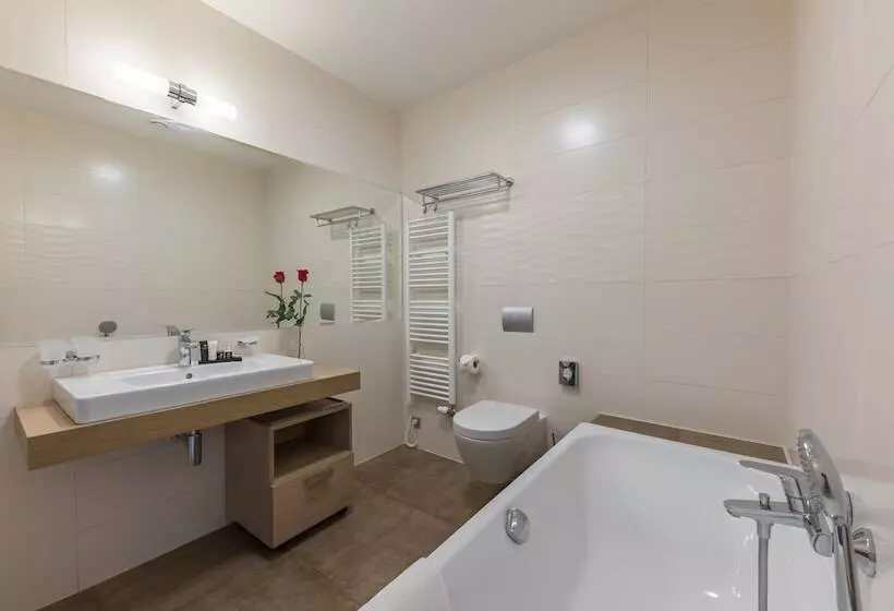 リゾートホテル Wellness & Spa Hotel Villa Regenhart