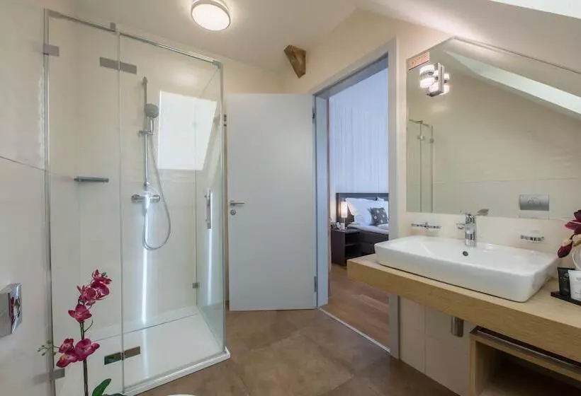 リゾートホテル Wellness & Spa Hotel Villa Regenhart