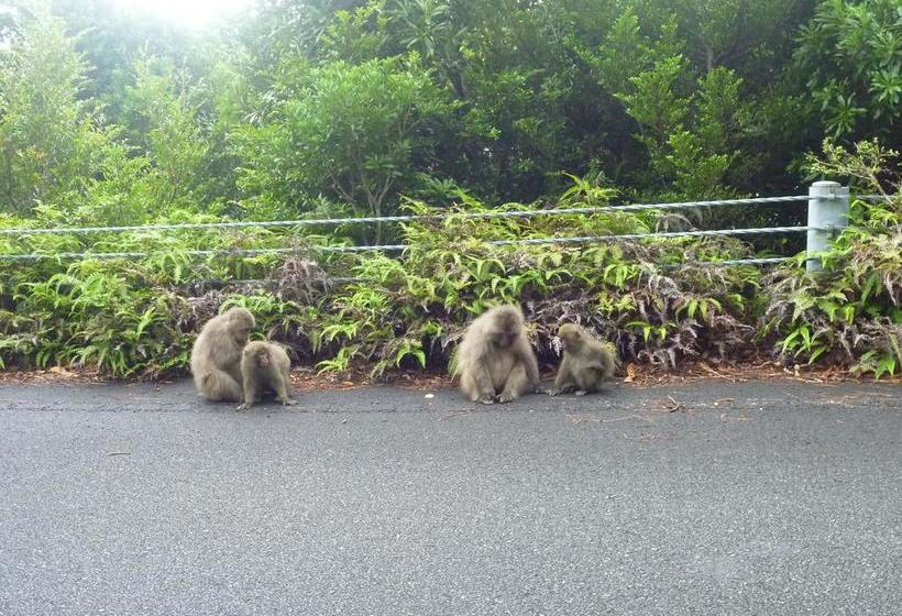 فندق صغير Minshuku Kaisei 1