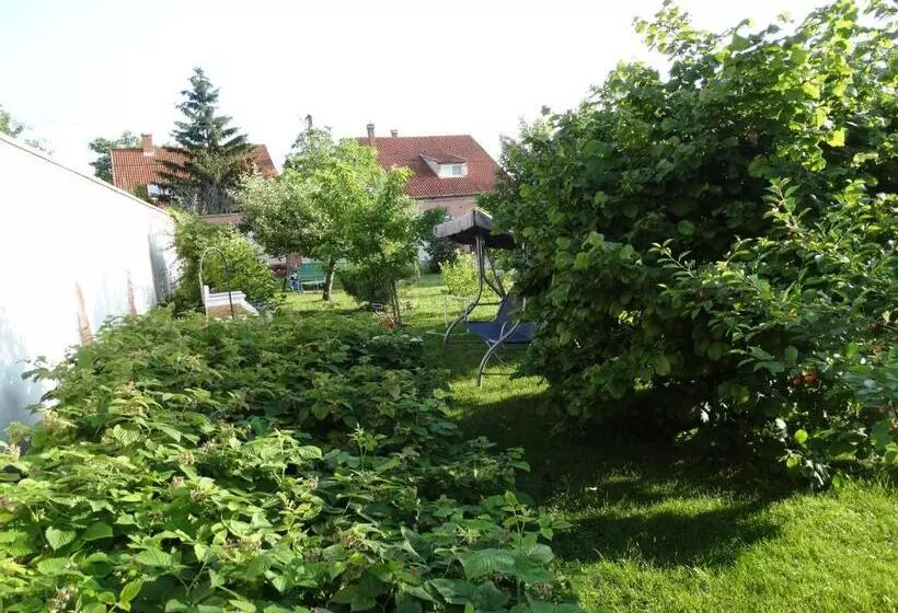 Bed & Breakfast Budai Panzió