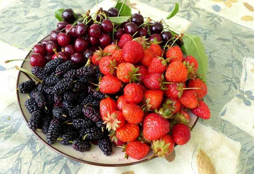 تختخواب و صبحانه Green Stone Boutique