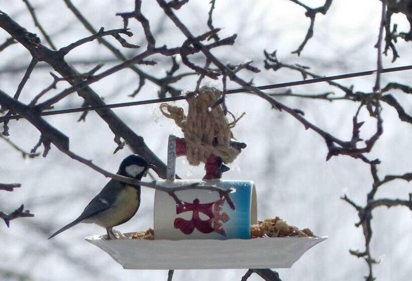 تختخواب و صبحانه Green Stone Boutique