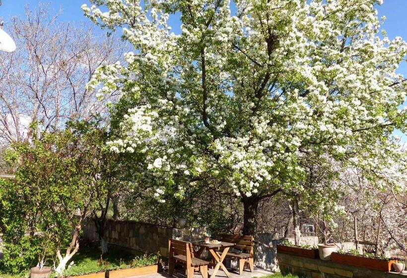 تختخواب و صبحانه Green Stone Boutique