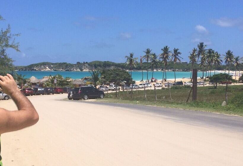 تختخواب و صبحانه Tropical Punta Cana