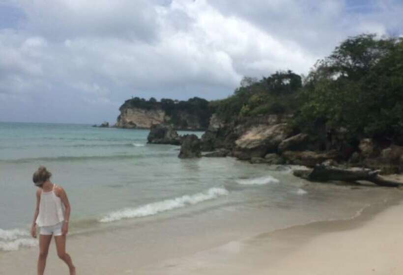 تختخواب و صبحانه Tropical Punta Cana